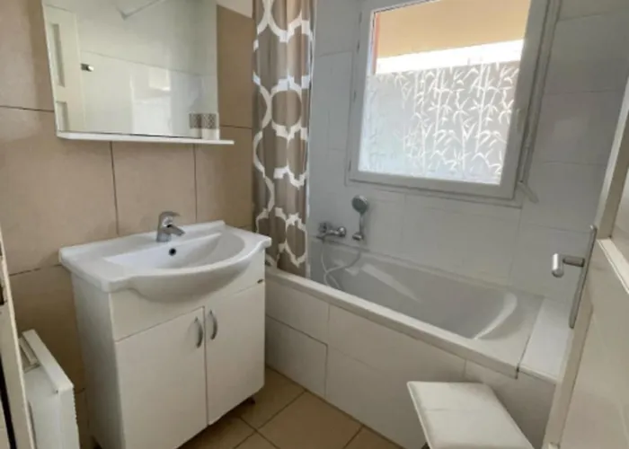 公寓 46m With Terrace - With Pool 维琪奥港